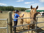 Horse Riding Camp